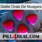 Gelée Orale De Nizagara 13
